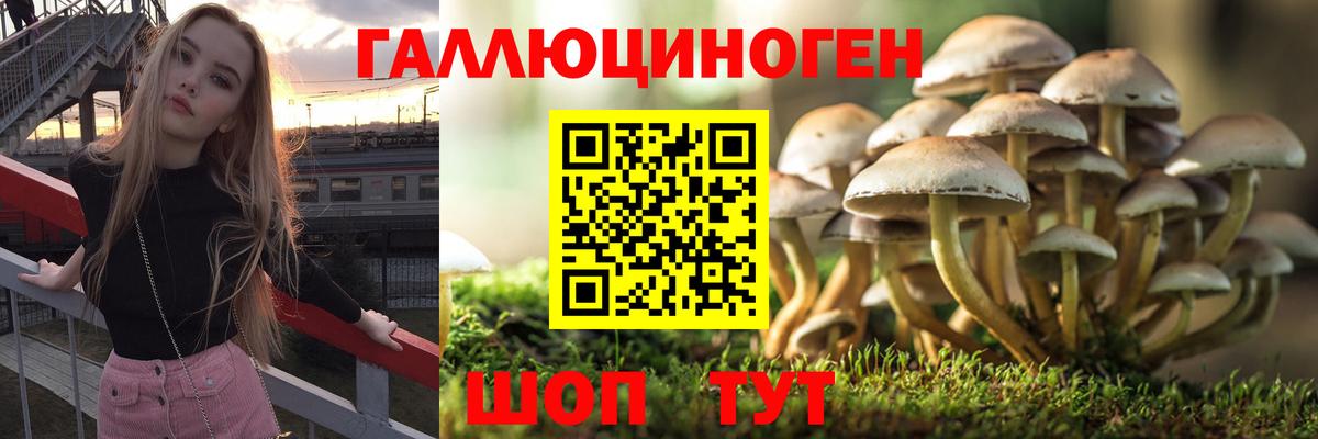 цена   Вход с VPN  Острогожск  Псилоцибиновые грибы Cubensis 